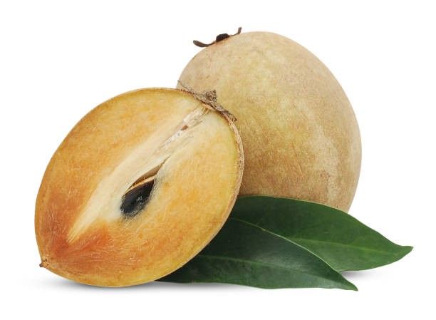 Chickoo (Sapota) - Image 2