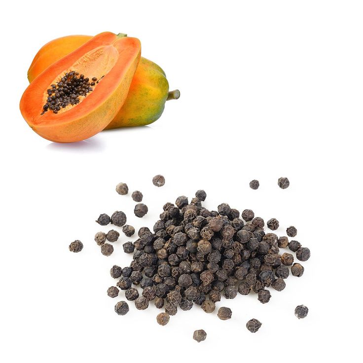 Papaya Plant - Image 2