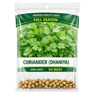 Coriander