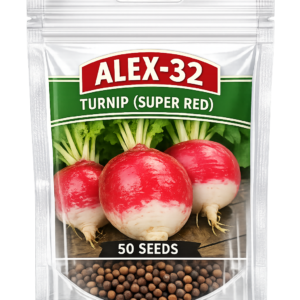 Turnip (Super Red)
