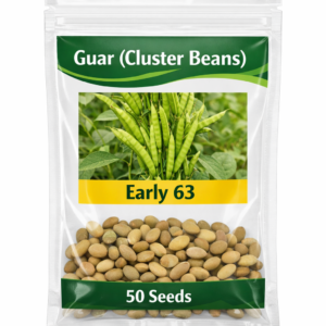 Guar (Cluster Beans)